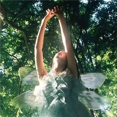 狗狗逃离荷里活